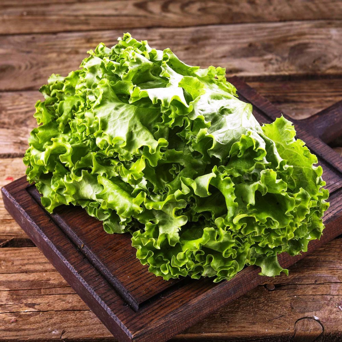 Латук кочанный