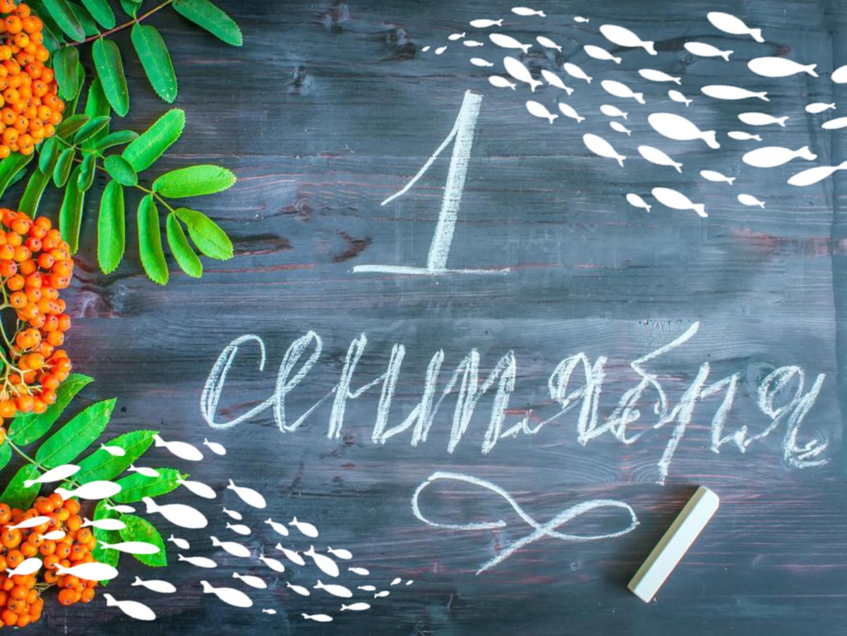 Happy teachers Day Акварельные картинки