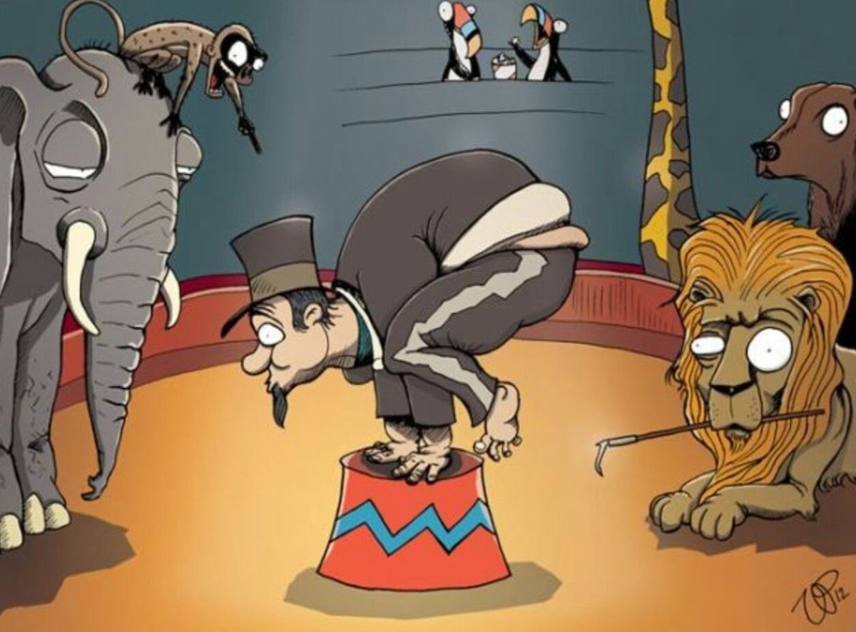 Люди и животные поменялись местами