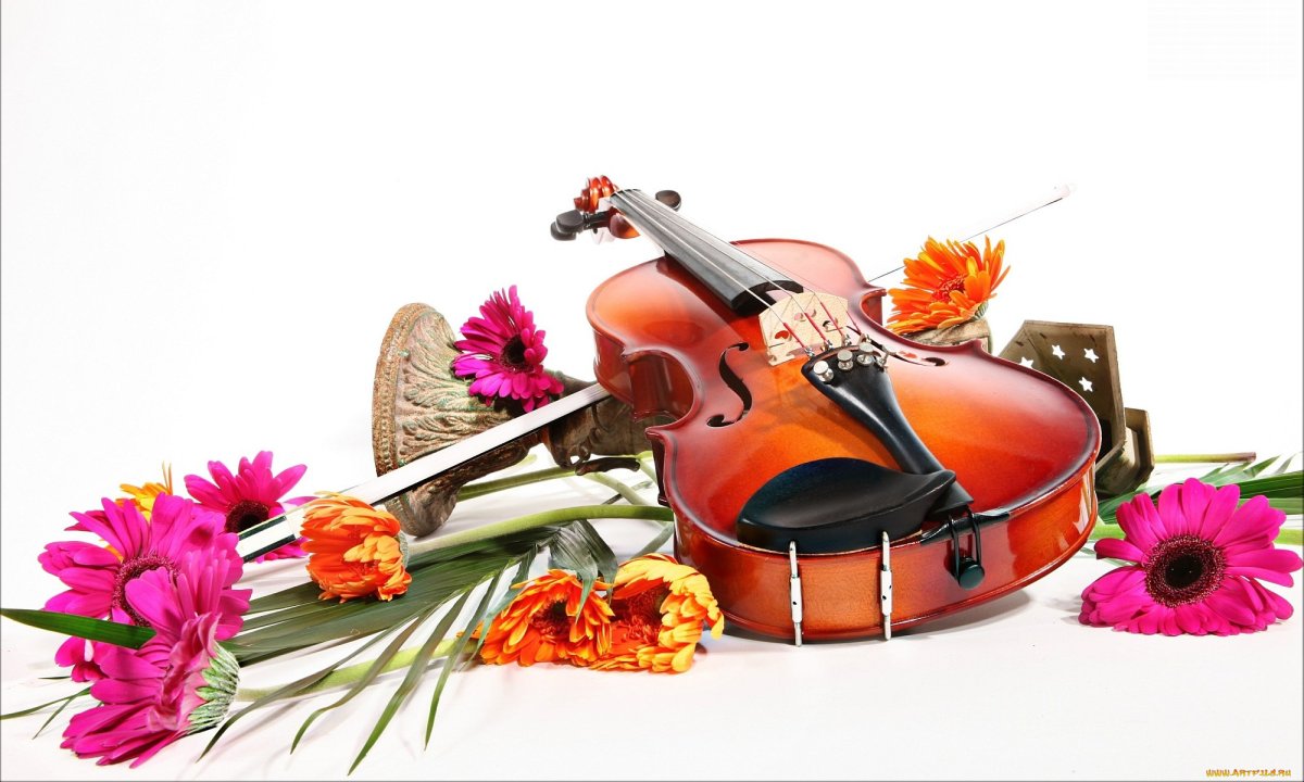 Женщина скрипка