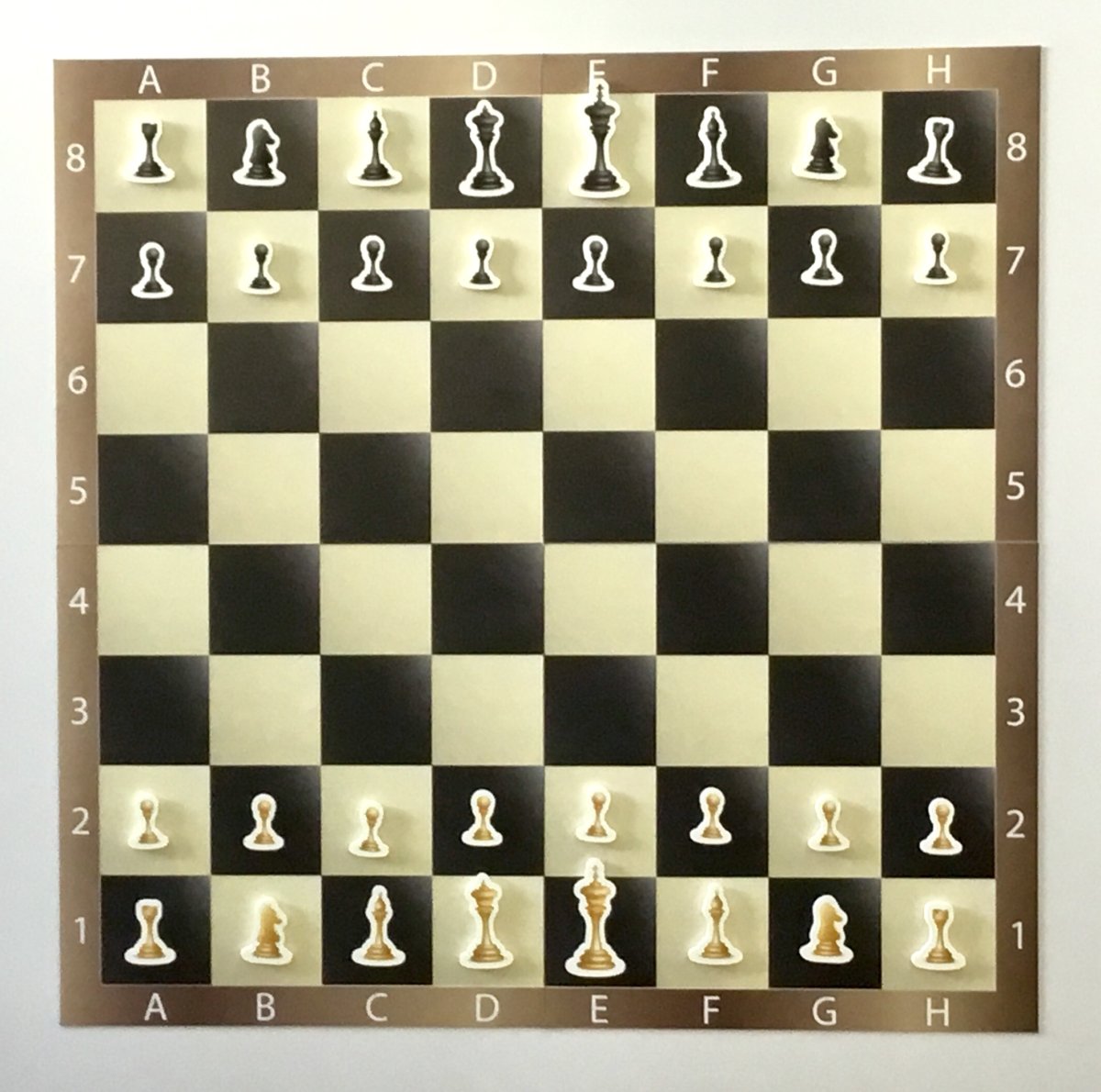 Шахматная доска