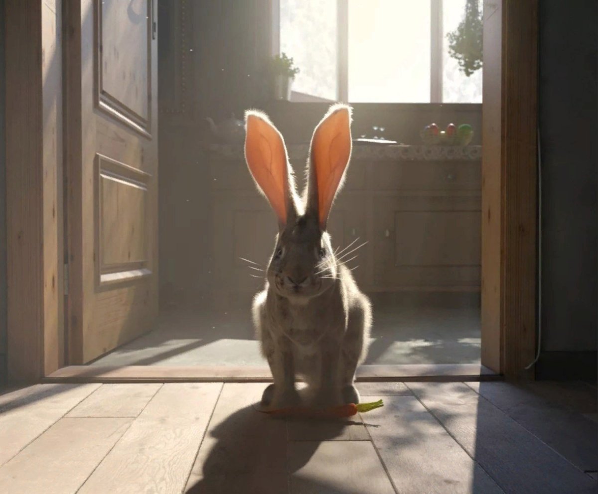 Смешные кролики