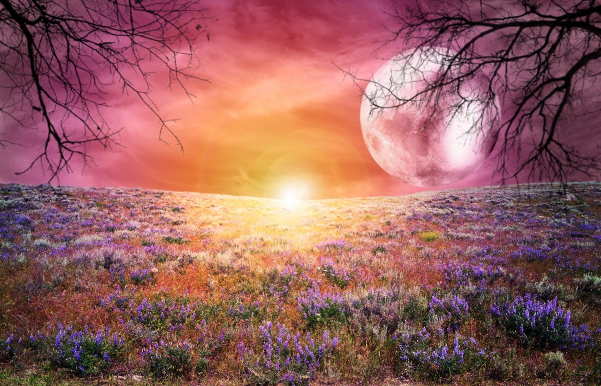 Фэнтези в высоком разрешении