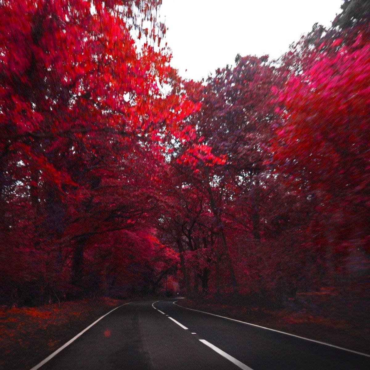 Эстетика темного