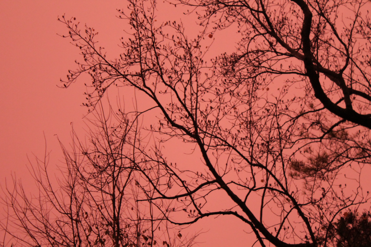 Red Velvet Macaroons