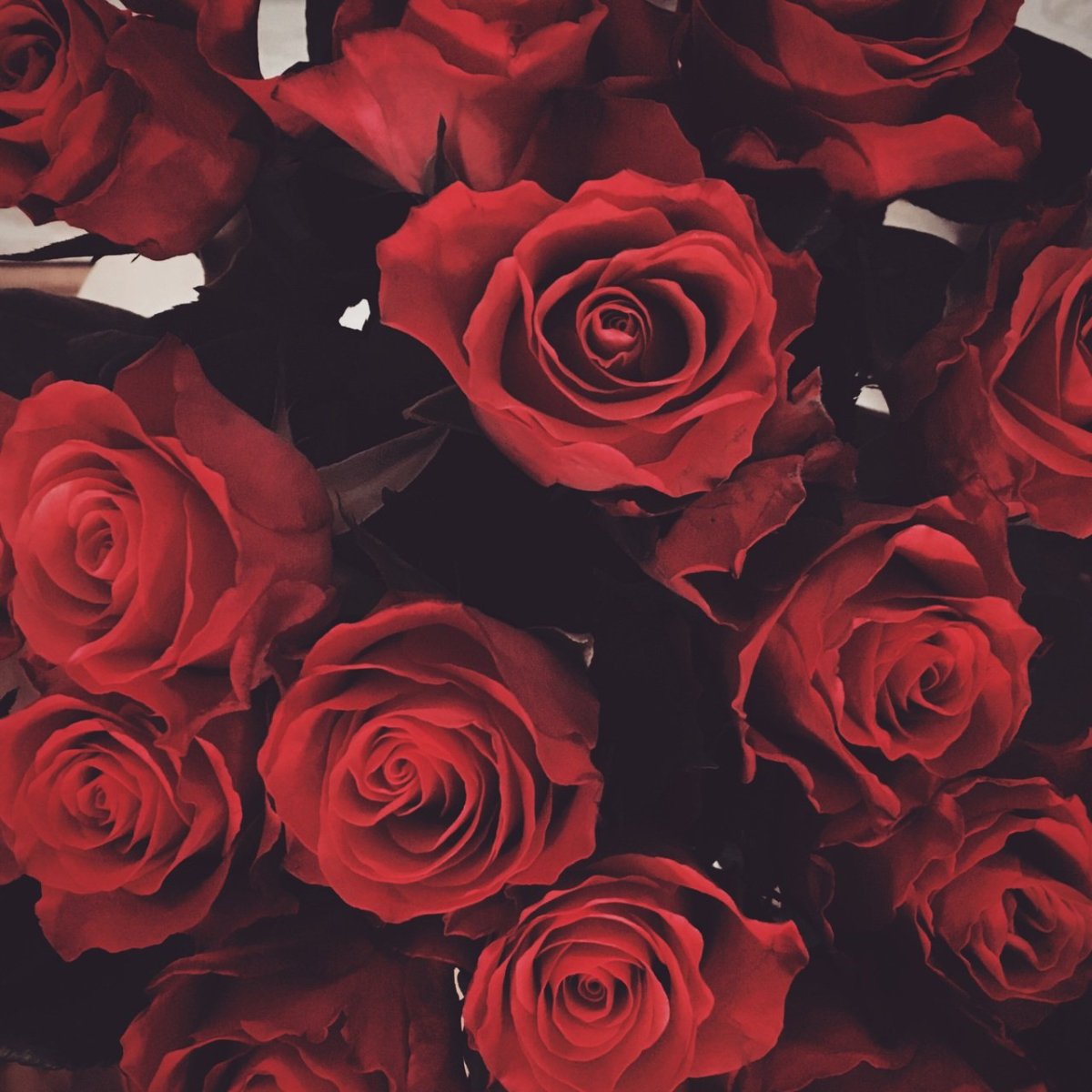 Эстикак красного цвета