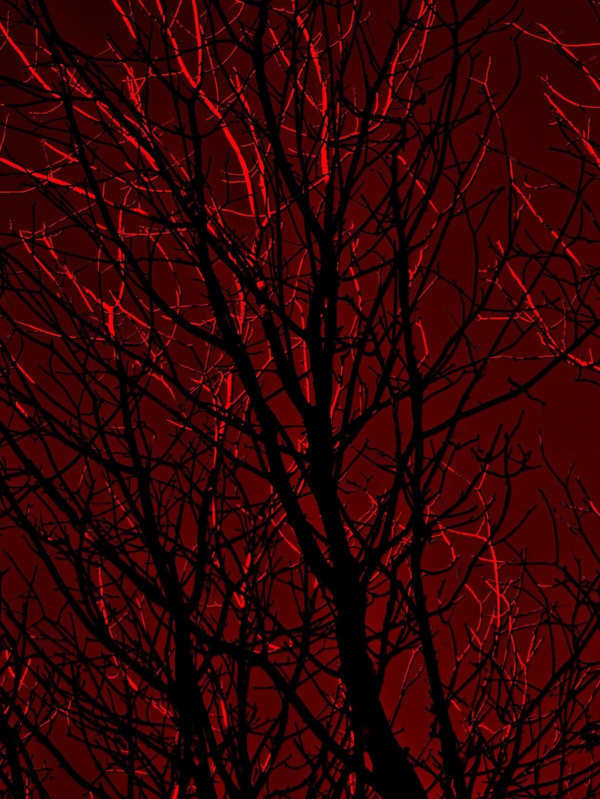 Этютика красного цвета