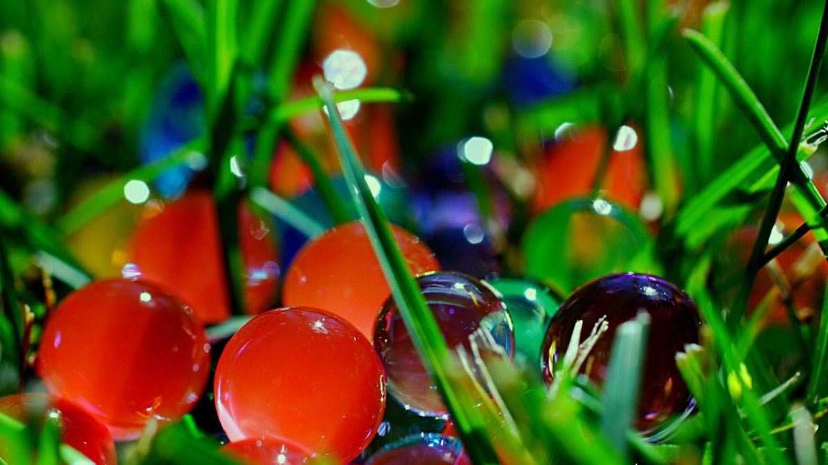 Яркие качественные картинки