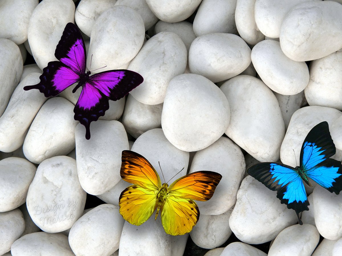 Фон разноцветный яркий