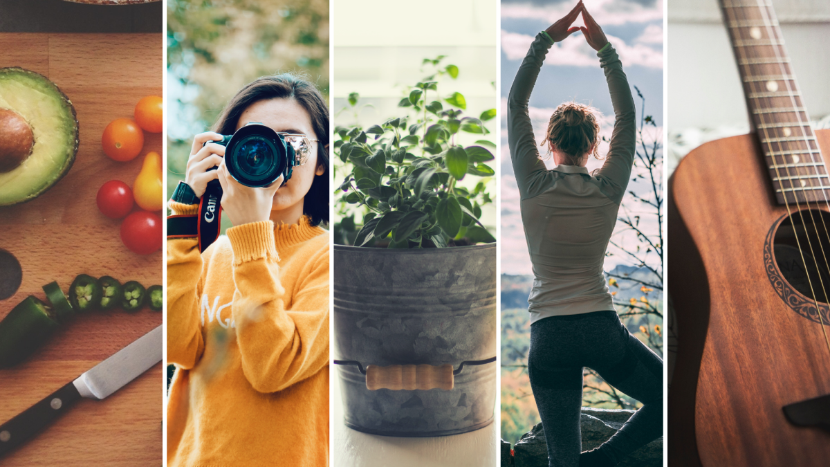 Занятие любимым делом