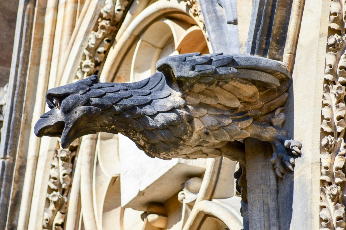 Шартрский собор Гаргульи