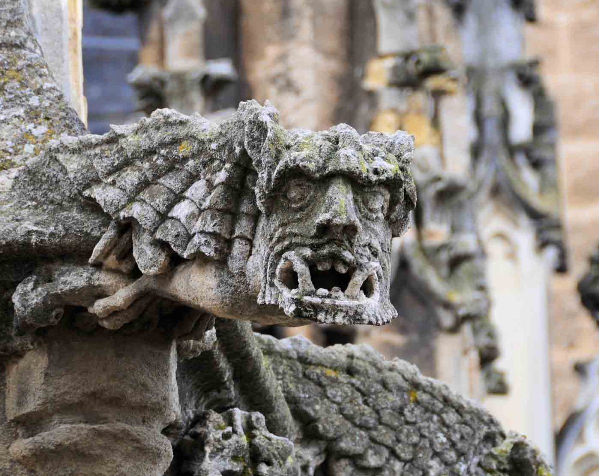 Собор Парижской Богоматери Гаргульи