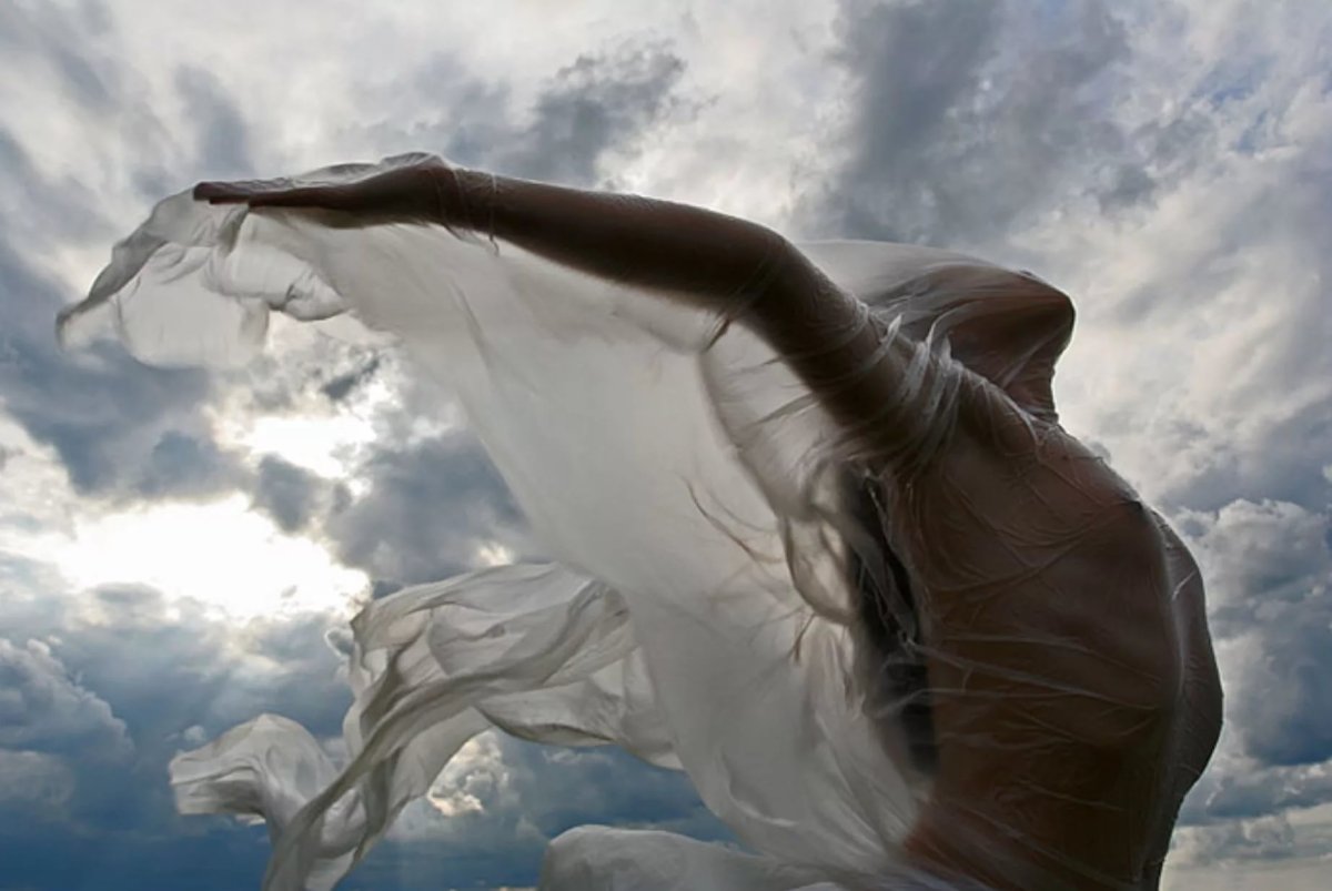 Душа в полете