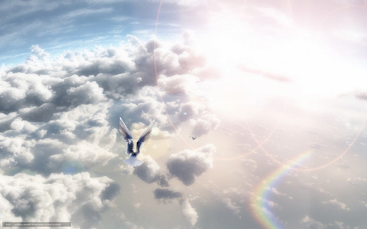 Полет во сне