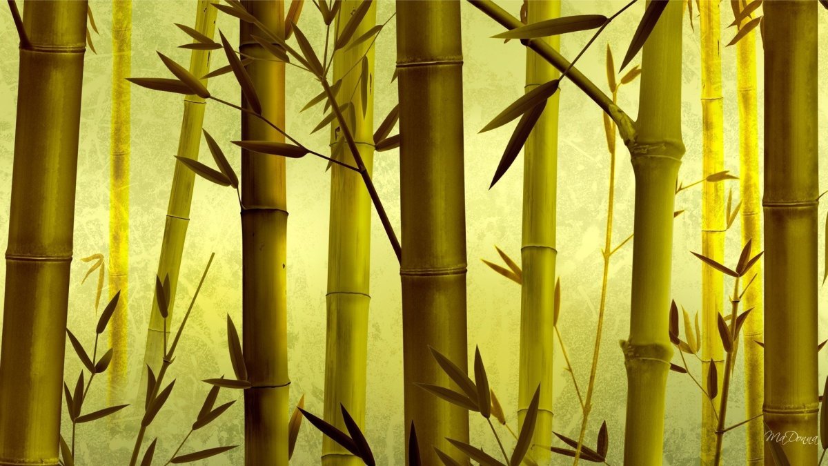 "Bamboo" "Bamboo. Bamboo (LP)"