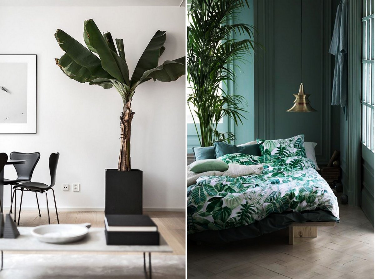 Крупная ботаника в интерьере