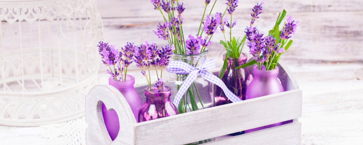 Лавандовый интерьер