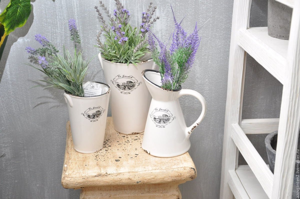 Сканди Лаванда