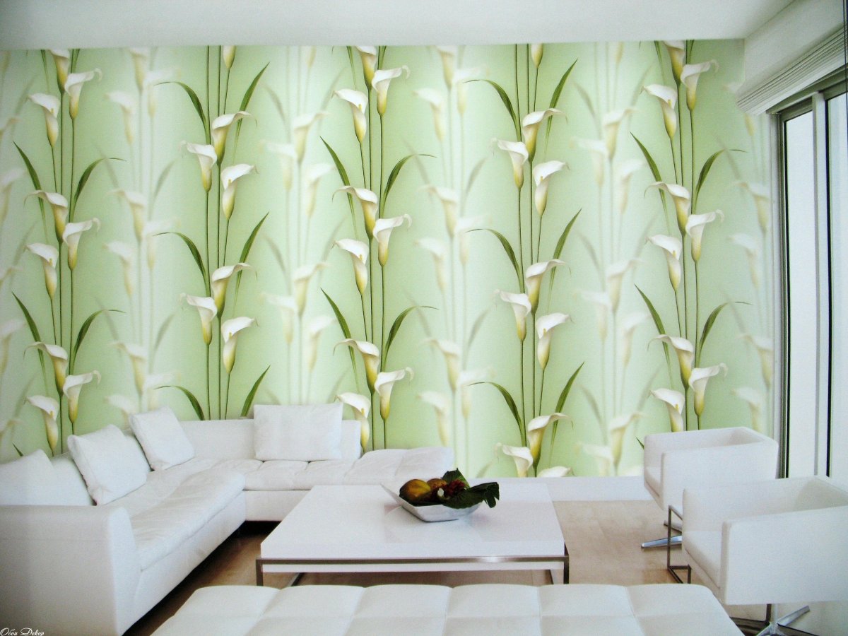 Andrea Rossi Gorgona