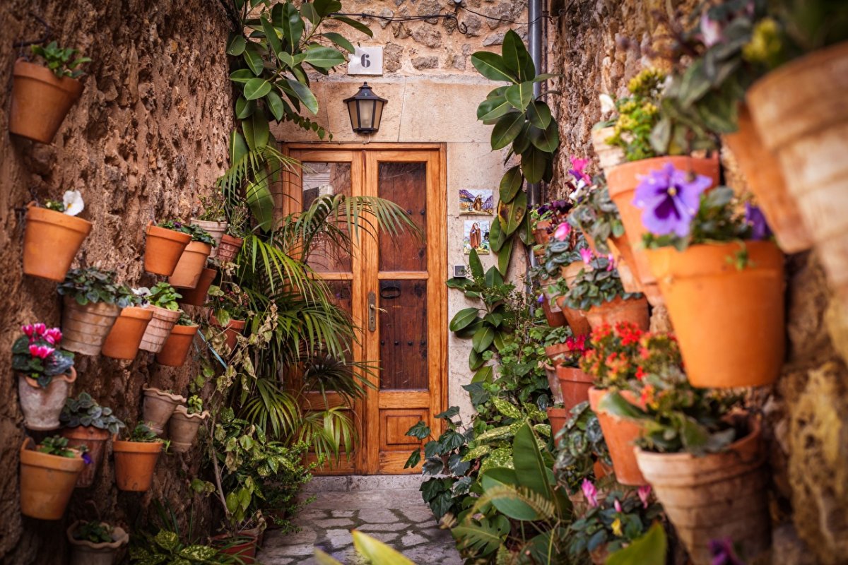 Стена с цветами