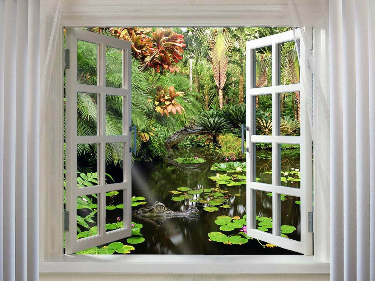Фотообои окно