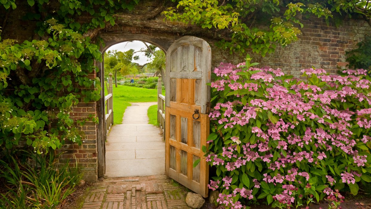 Арка увитая плющом