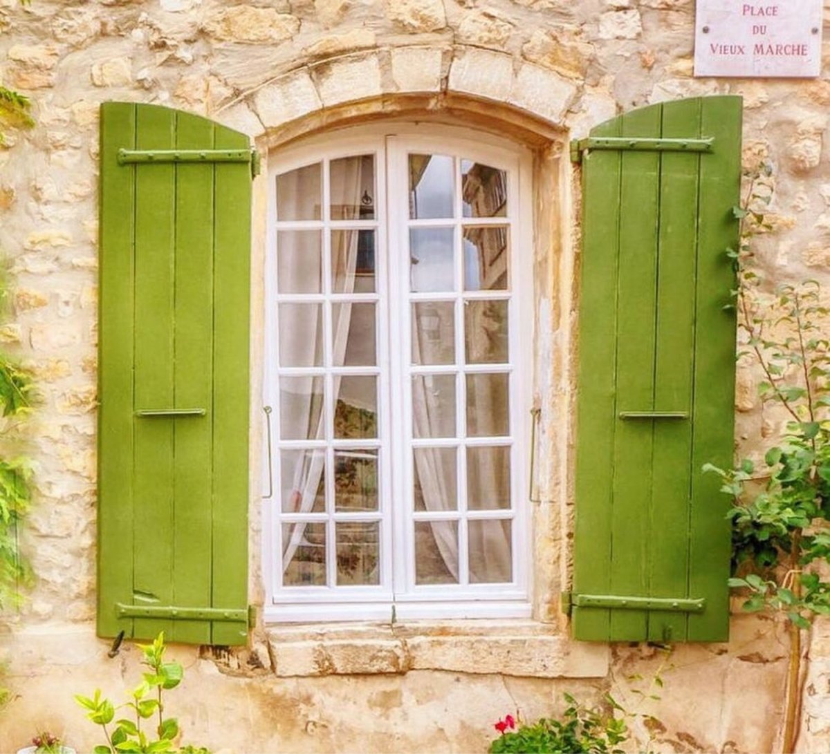 Розы на стене