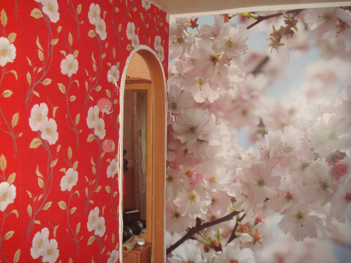 Фотообои без стыков