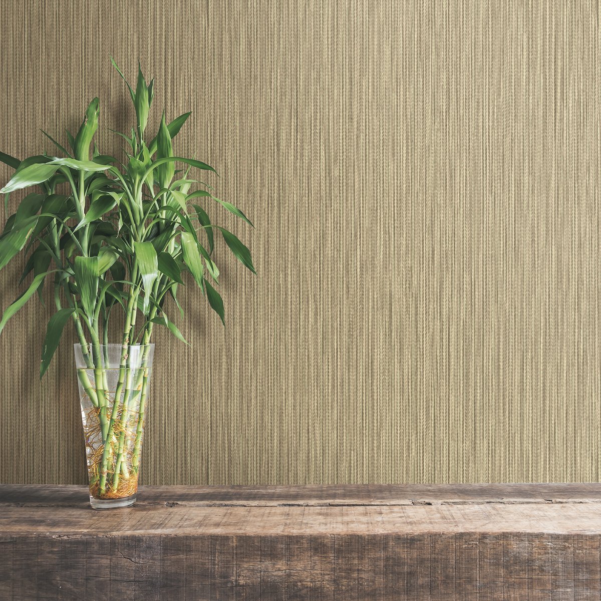 Erismann trend 3796-7