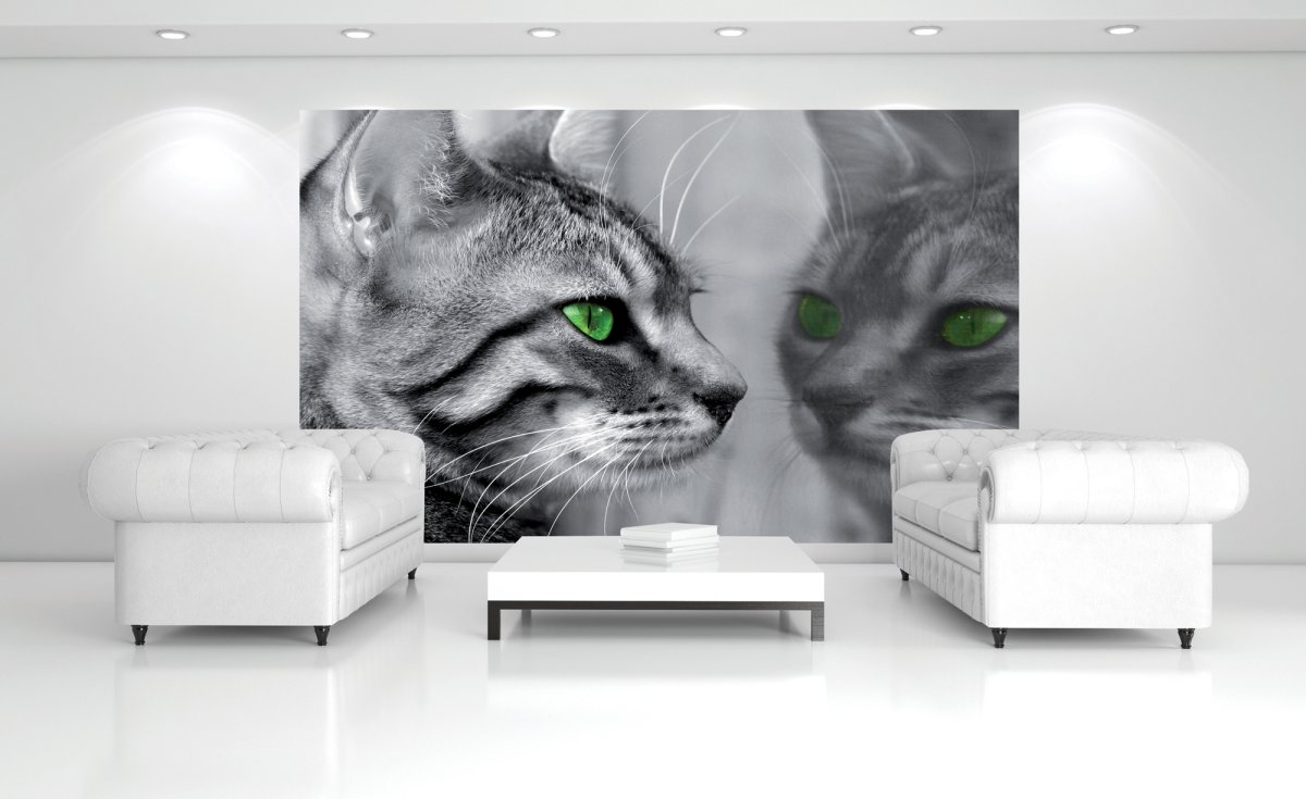 Фотообои с кошками на стену
