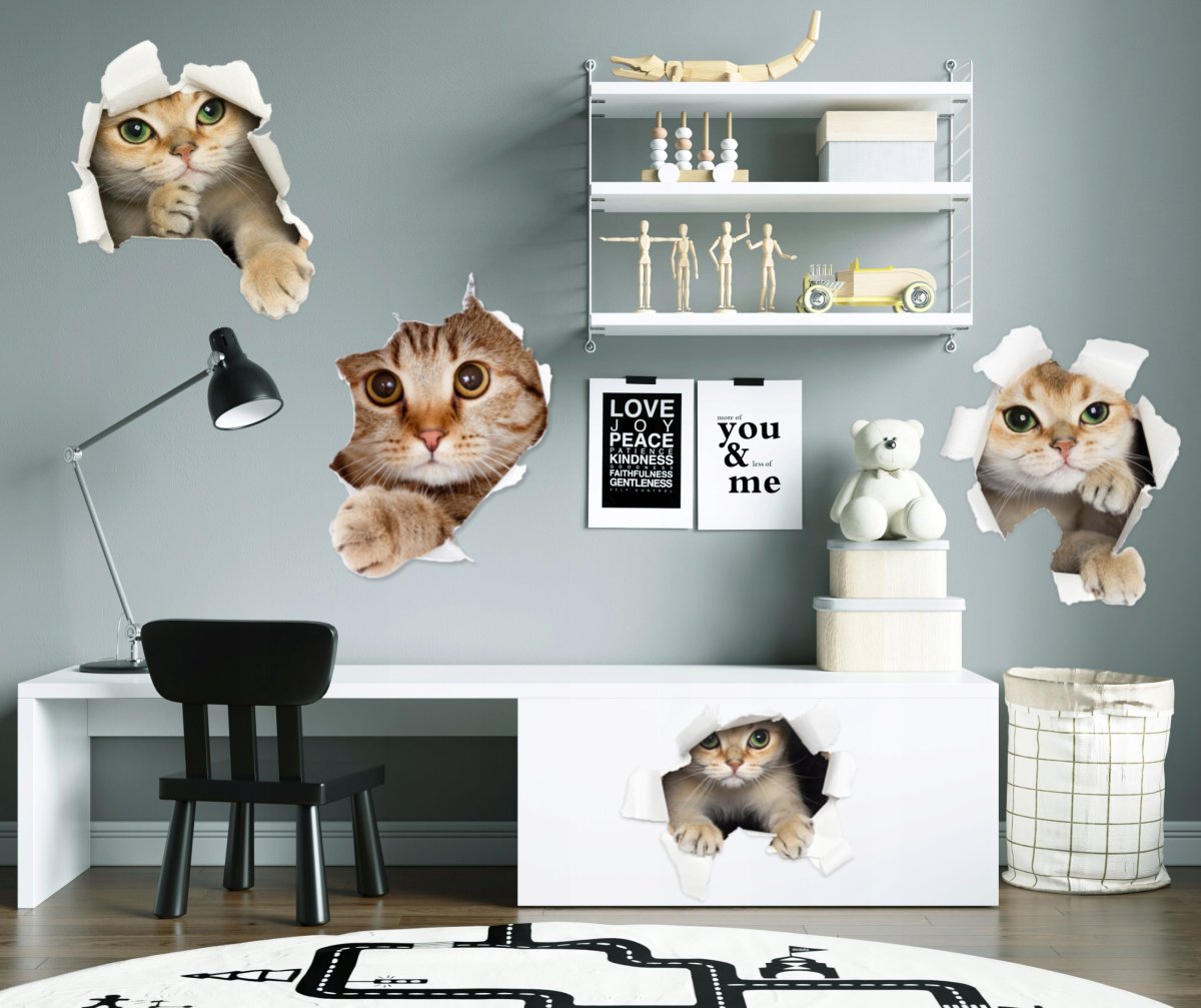 Лофт кот на стене