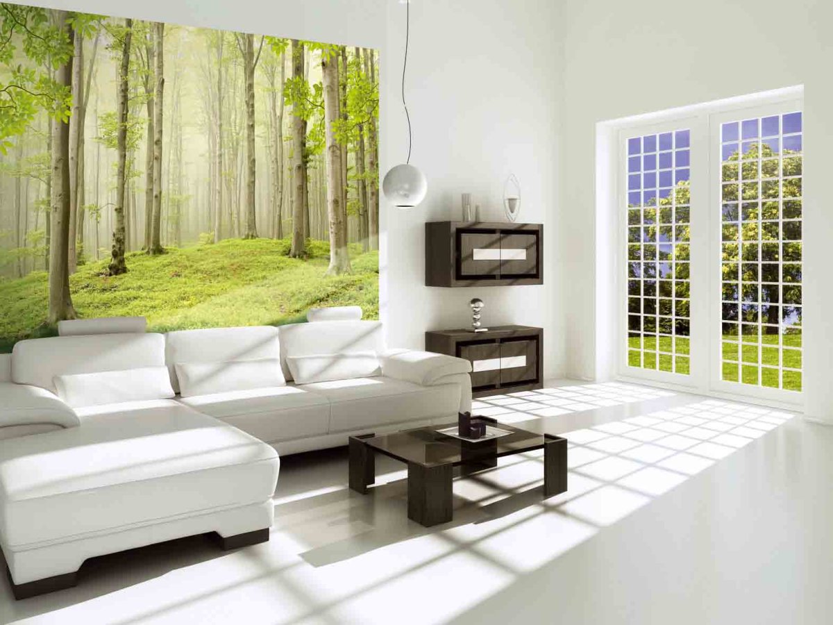 Афреско папоротник