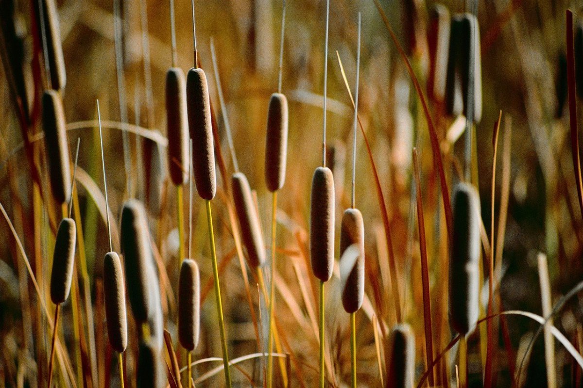 Фотообои над диваном в гостиной