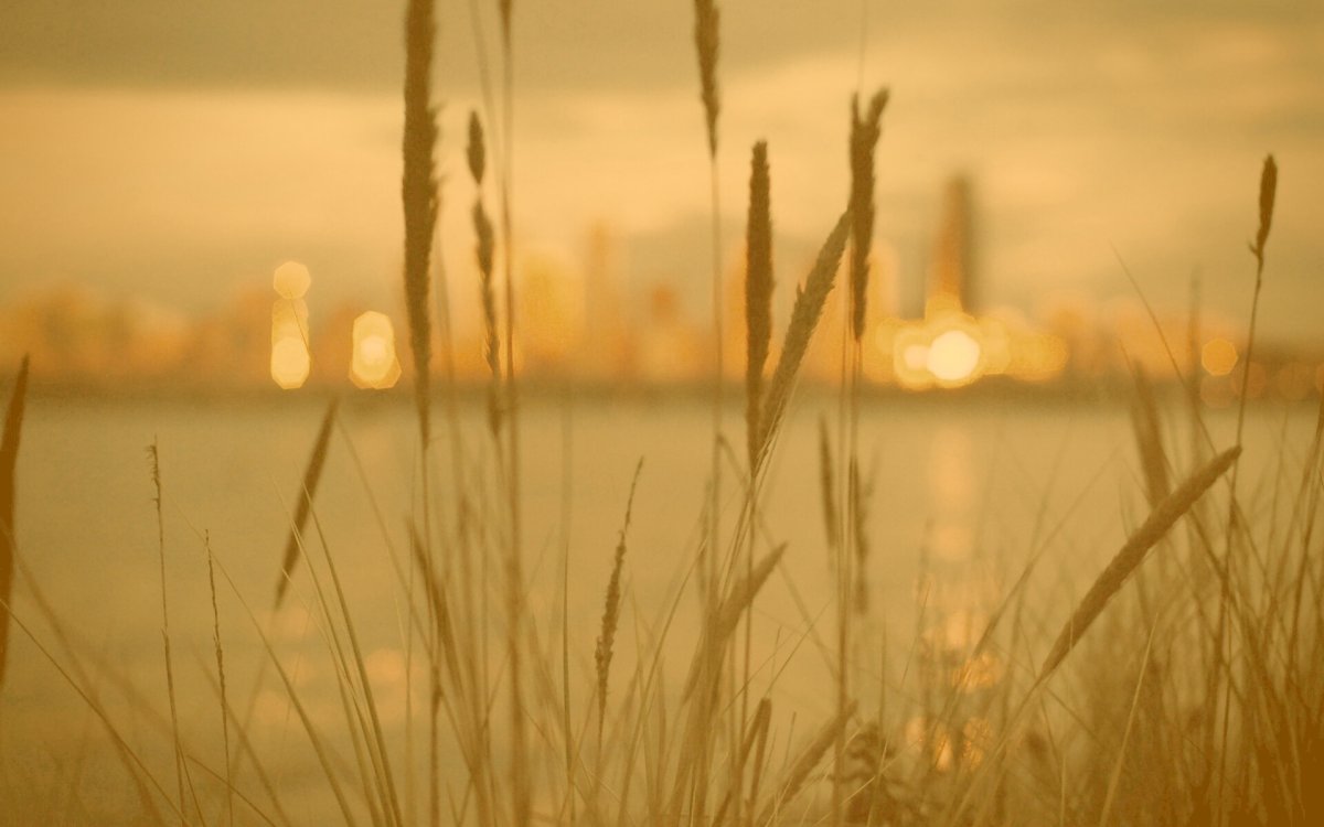 Тропические листья в интерьере спальни