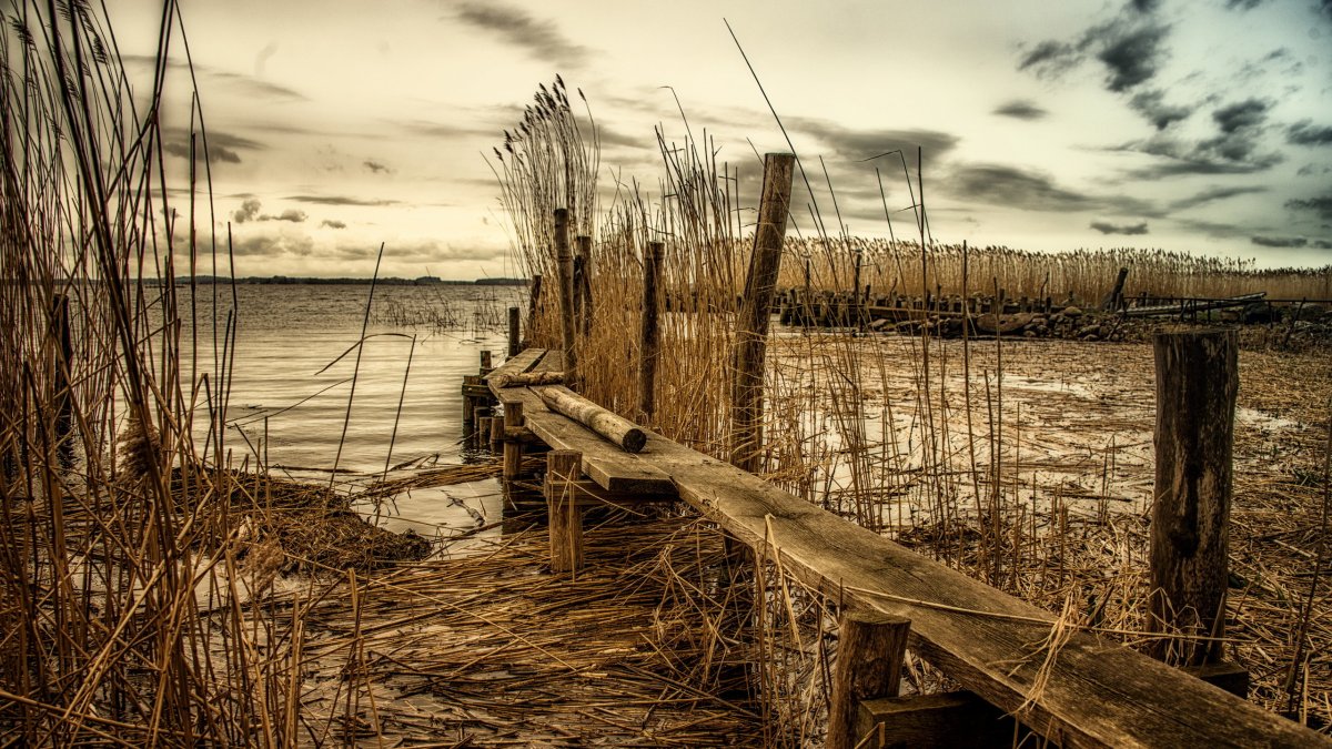 Фрески Affresco в интерьере