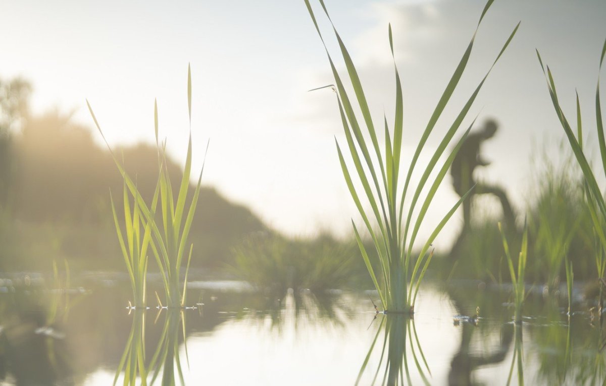 Фотообои Komar флизелиновые