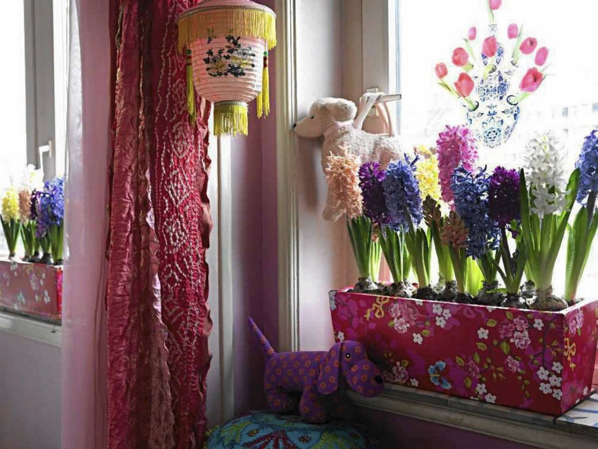 Цветы на подоконнике