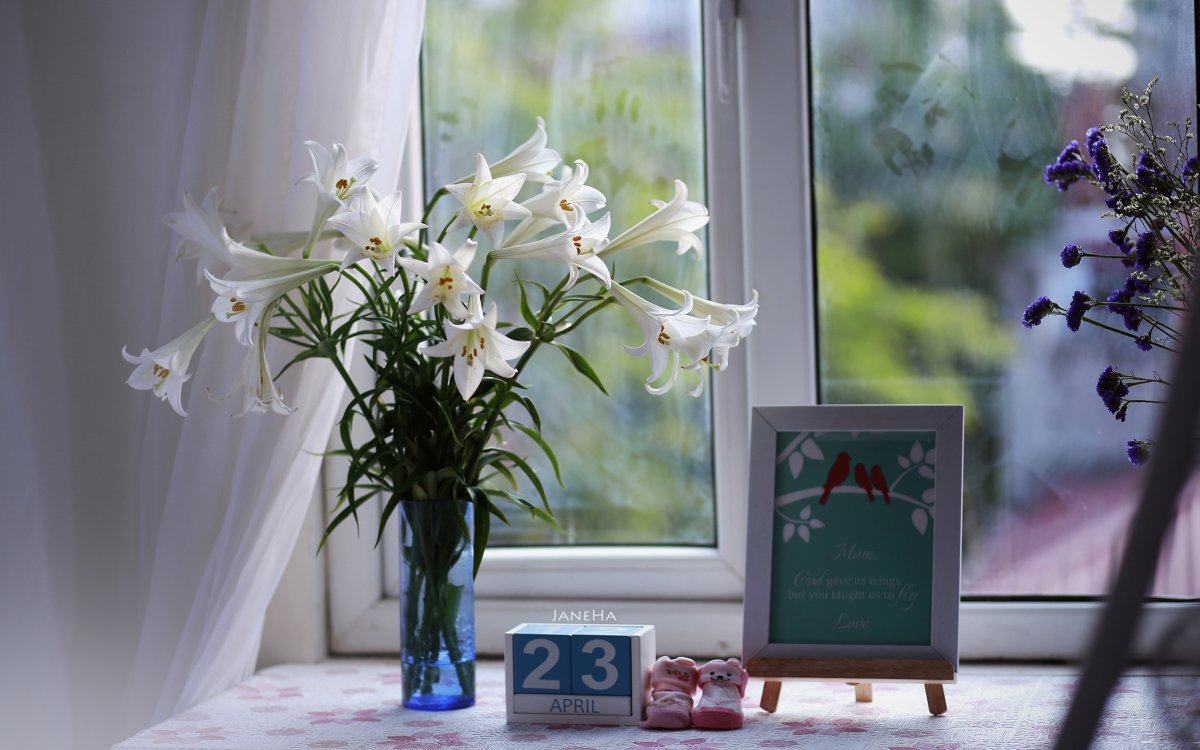 Цветы в вазе