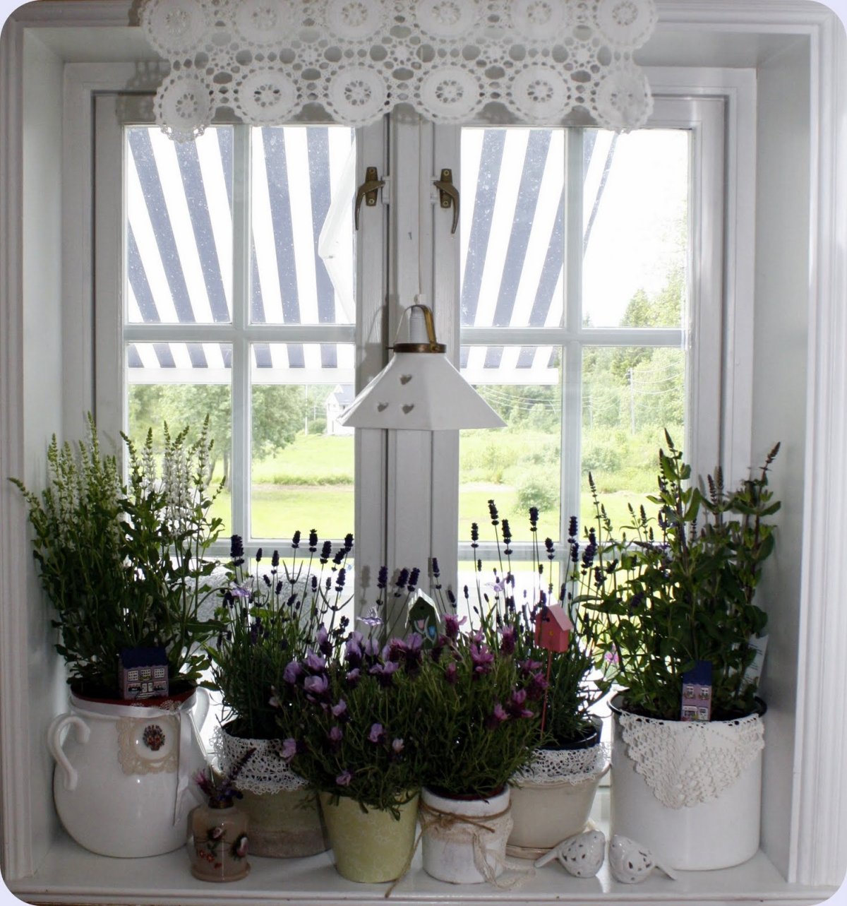 Цветы на окне