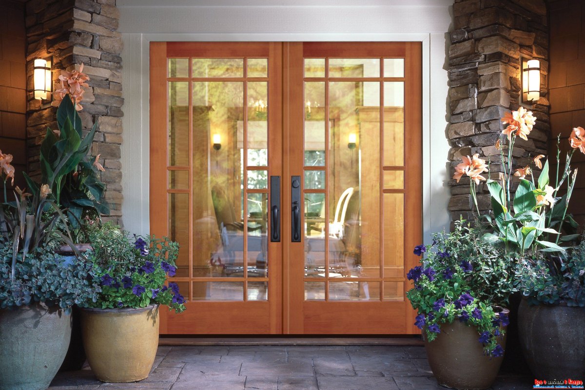 Дверь стеклопакет входная