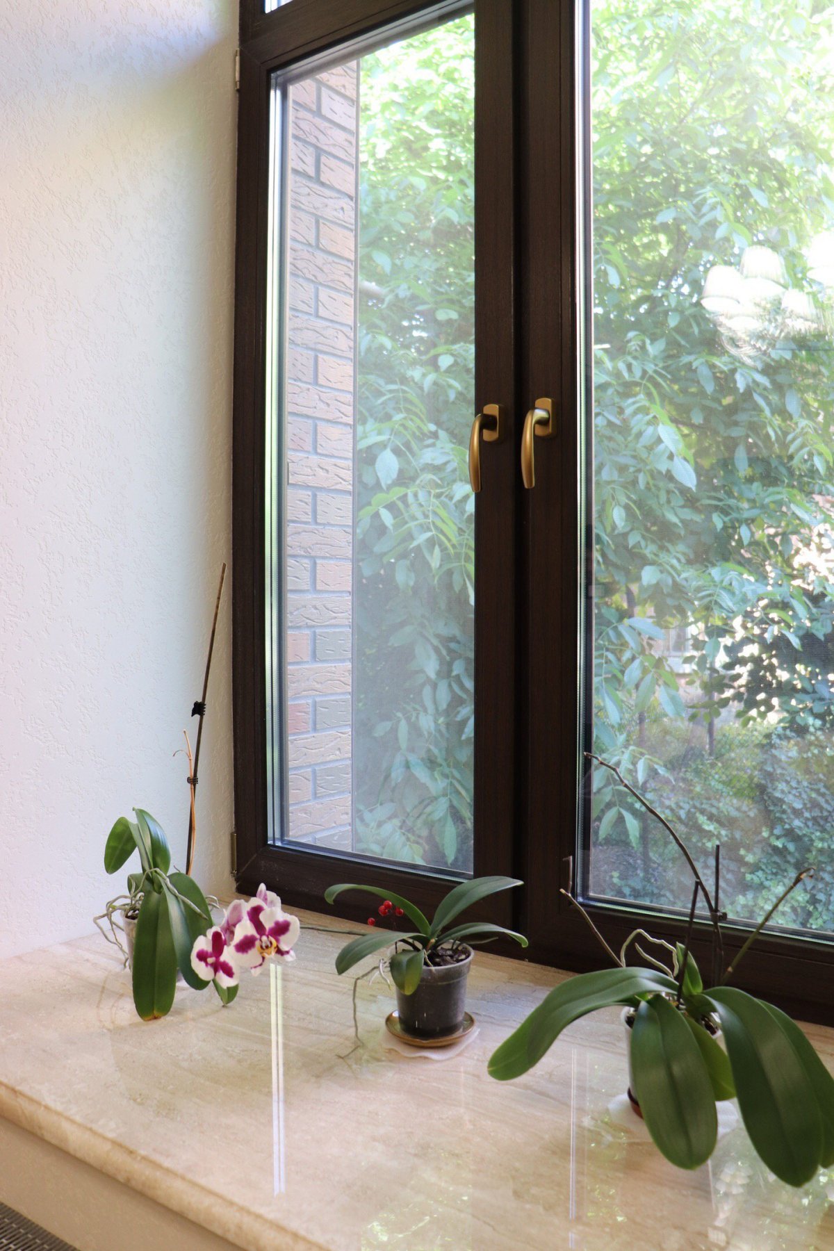 Деревянные окна в интерьере