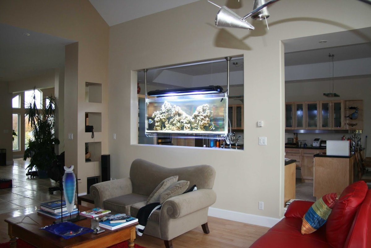 Аквариум между кухней и гостиной в стене