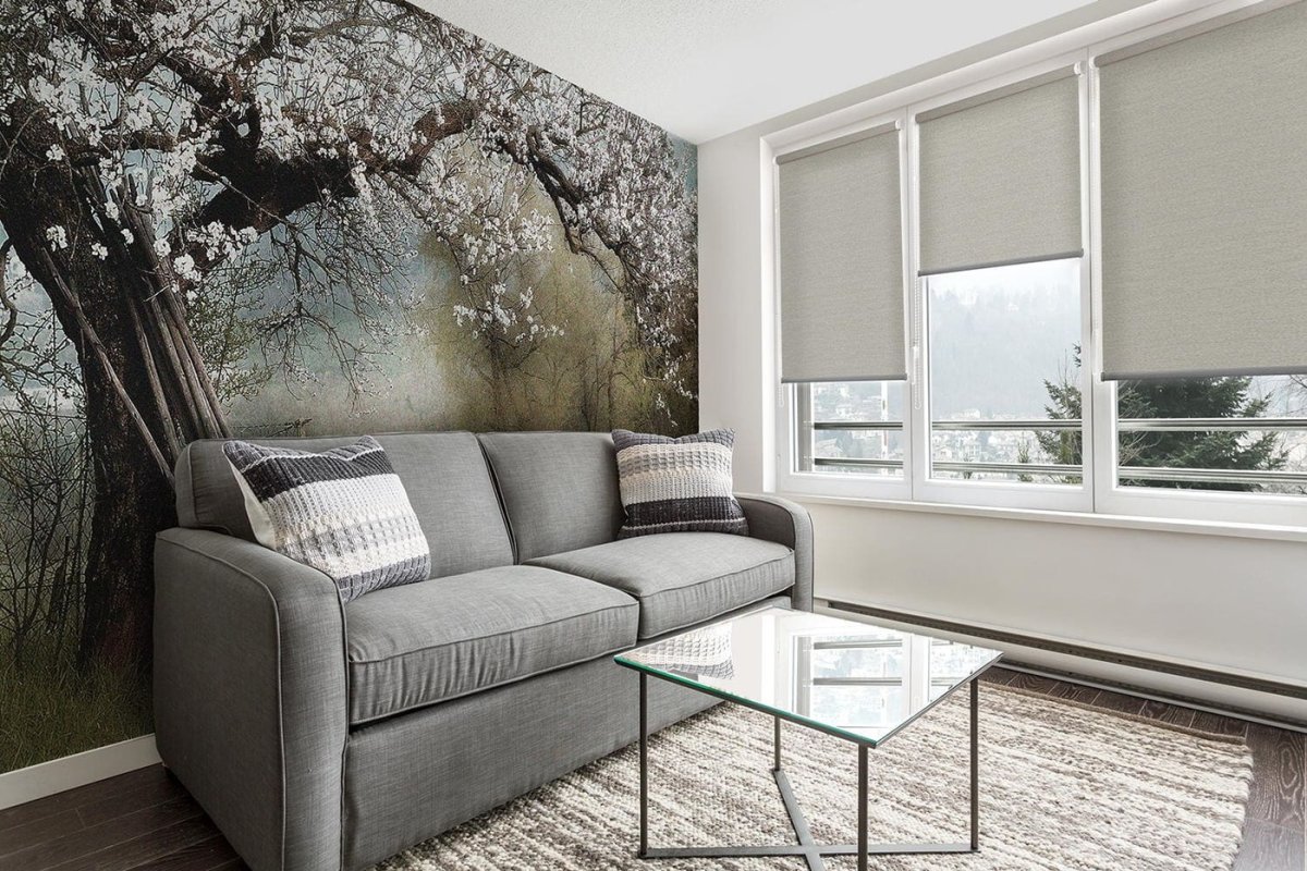 Рулонные шторы Delfa 52х170 см