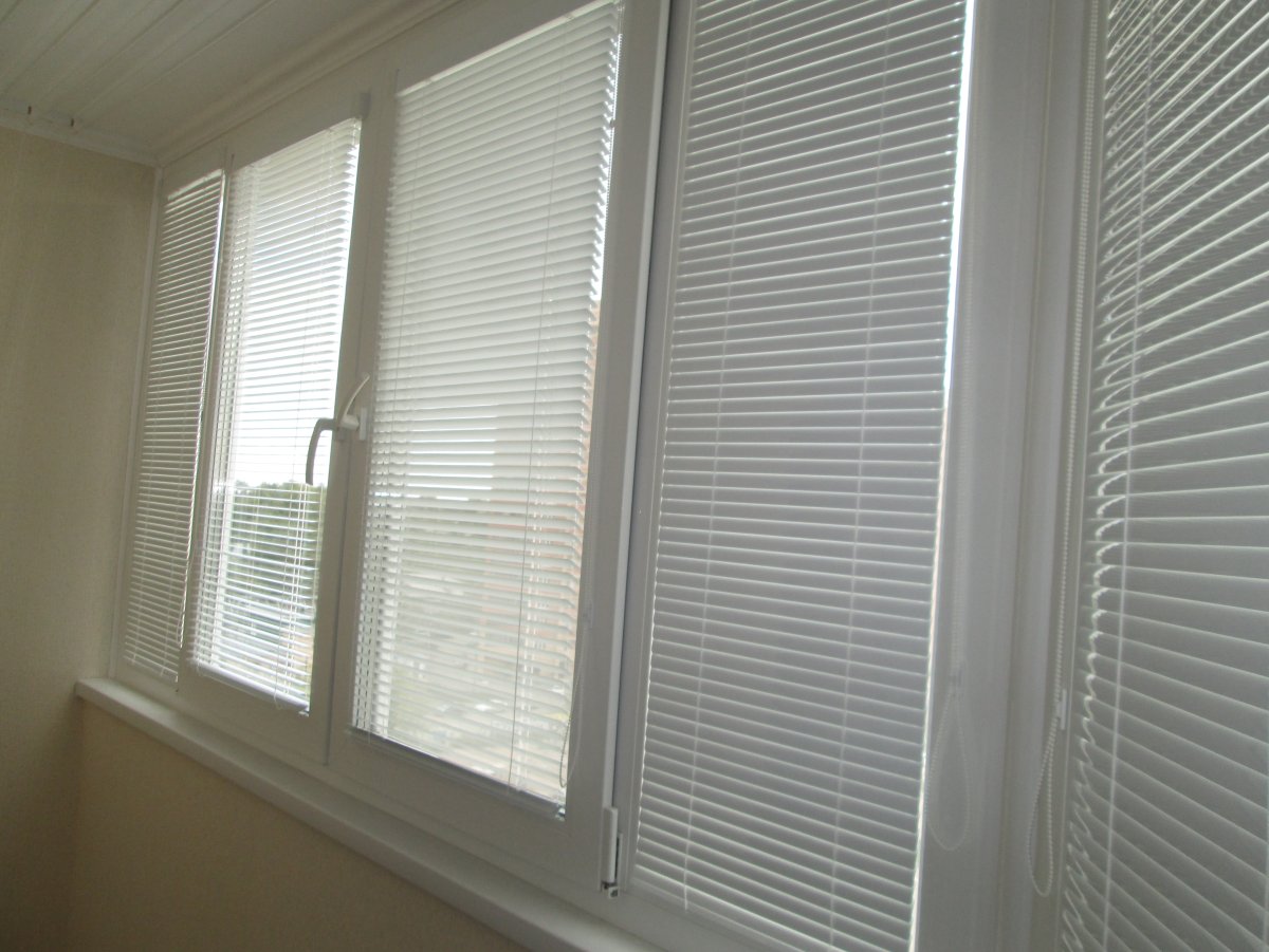 Эскар ролло голубой