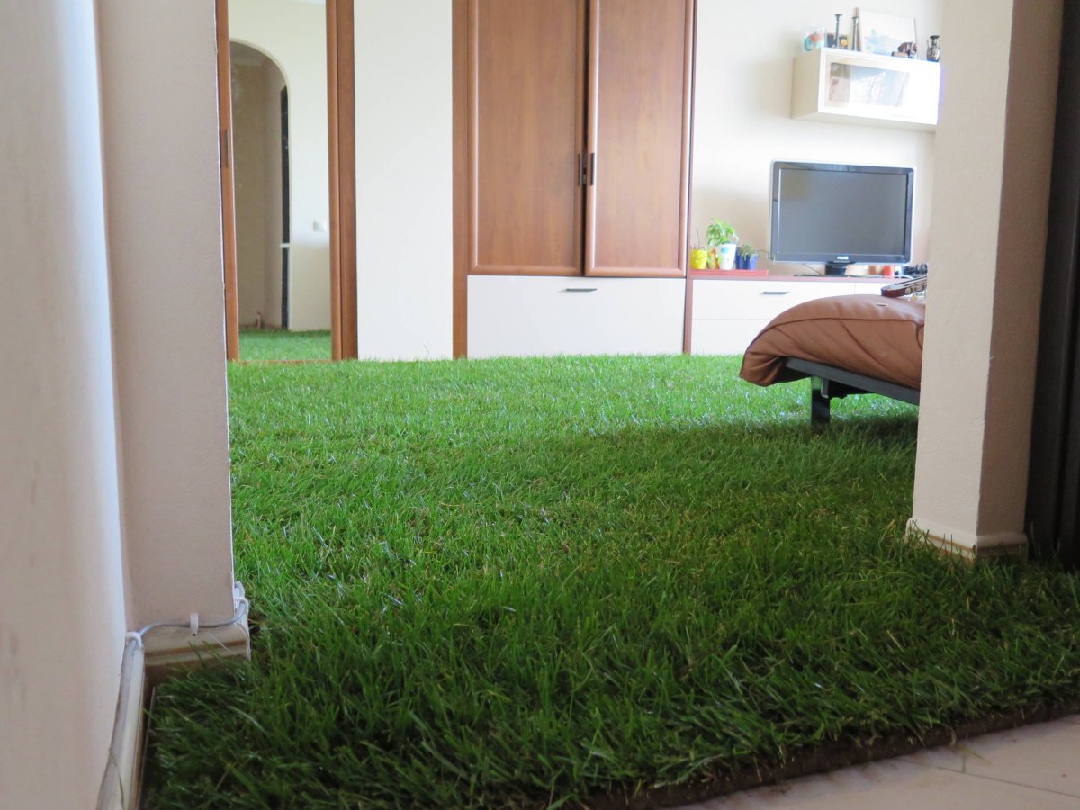 Газонная трава