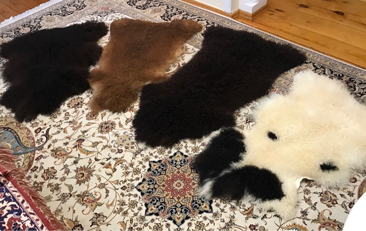 Шкура овечья черная