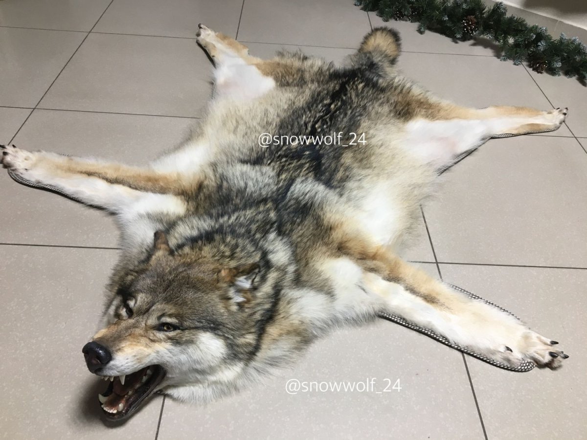 Ковер из шкуры волка