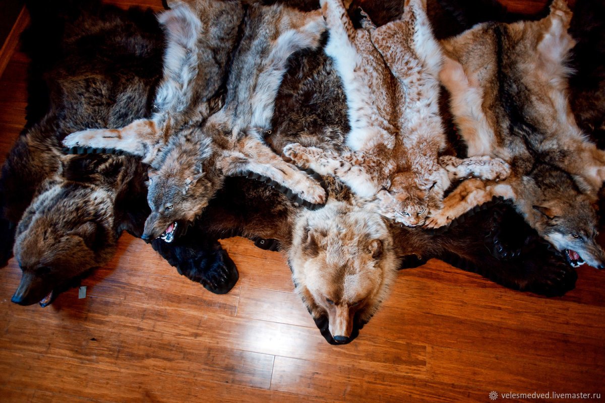 Ковер из шкуры волка