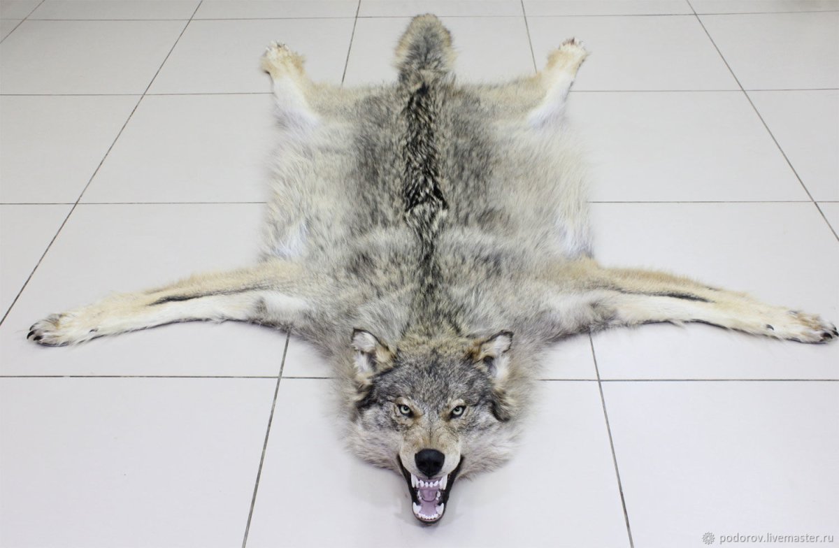 Изделия из шкуры волка