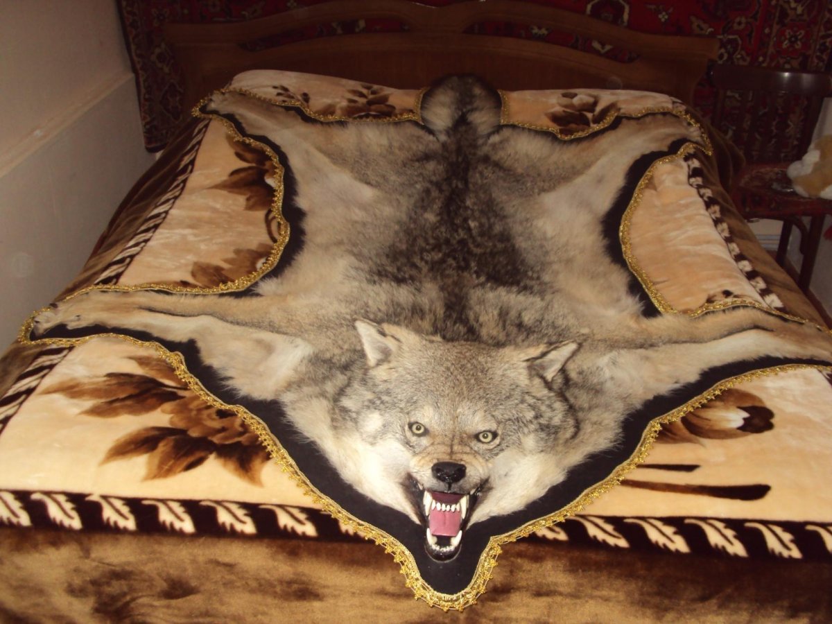 Шкура из Гомеля